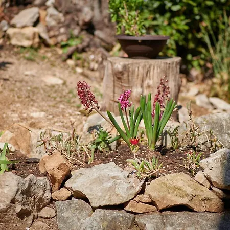 Appartement Blue Horizon Dubrovnik