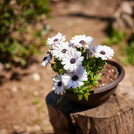 Appartement Blue Horizon