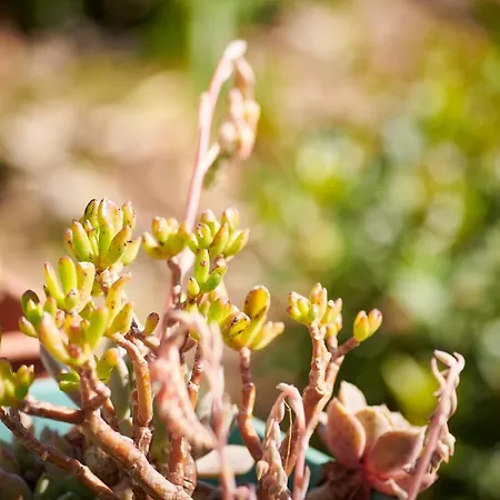 Blue Horizon Appartement Dubrovnik