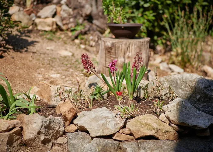 Lägenhet Blue Horizon Dubrovnik