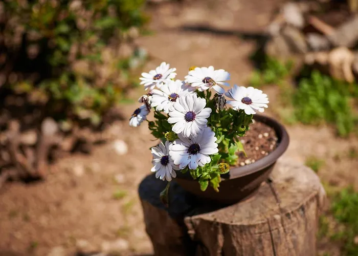 Lägenhet Blue Horizon