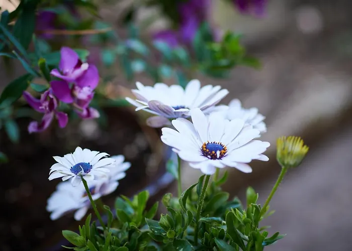 Lägenhet Blue Horizon *