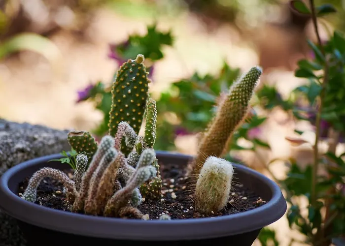 Blue Horizon Lägenhet