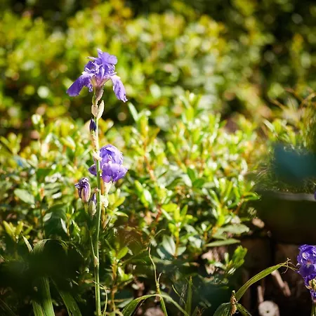 公寓 Blue Horizon *