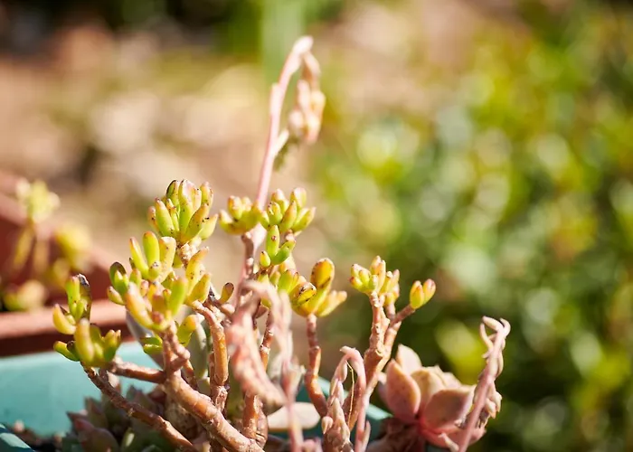 Blue Horizon Apartmán Dubrovník