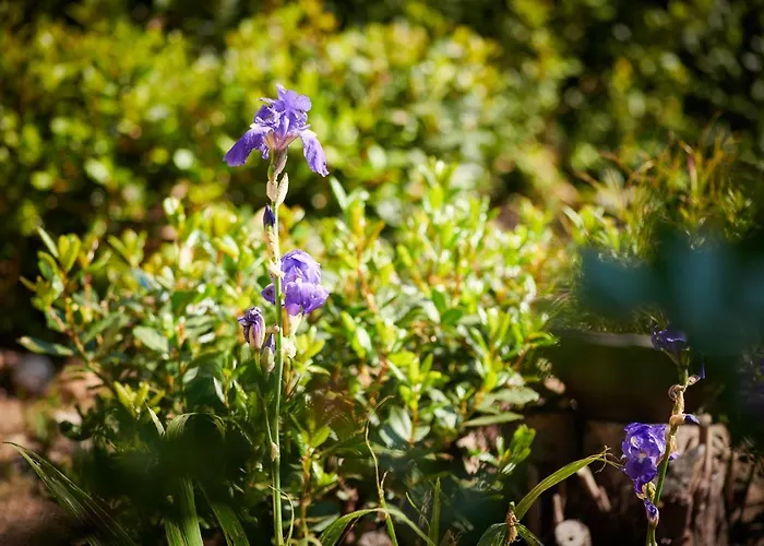 Apartmán Blue Horizon *